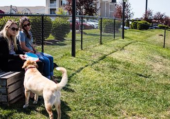 Dog Park at Aventura at Forest Park, St. Louis, MO 63110
